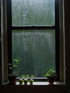 rainstorm